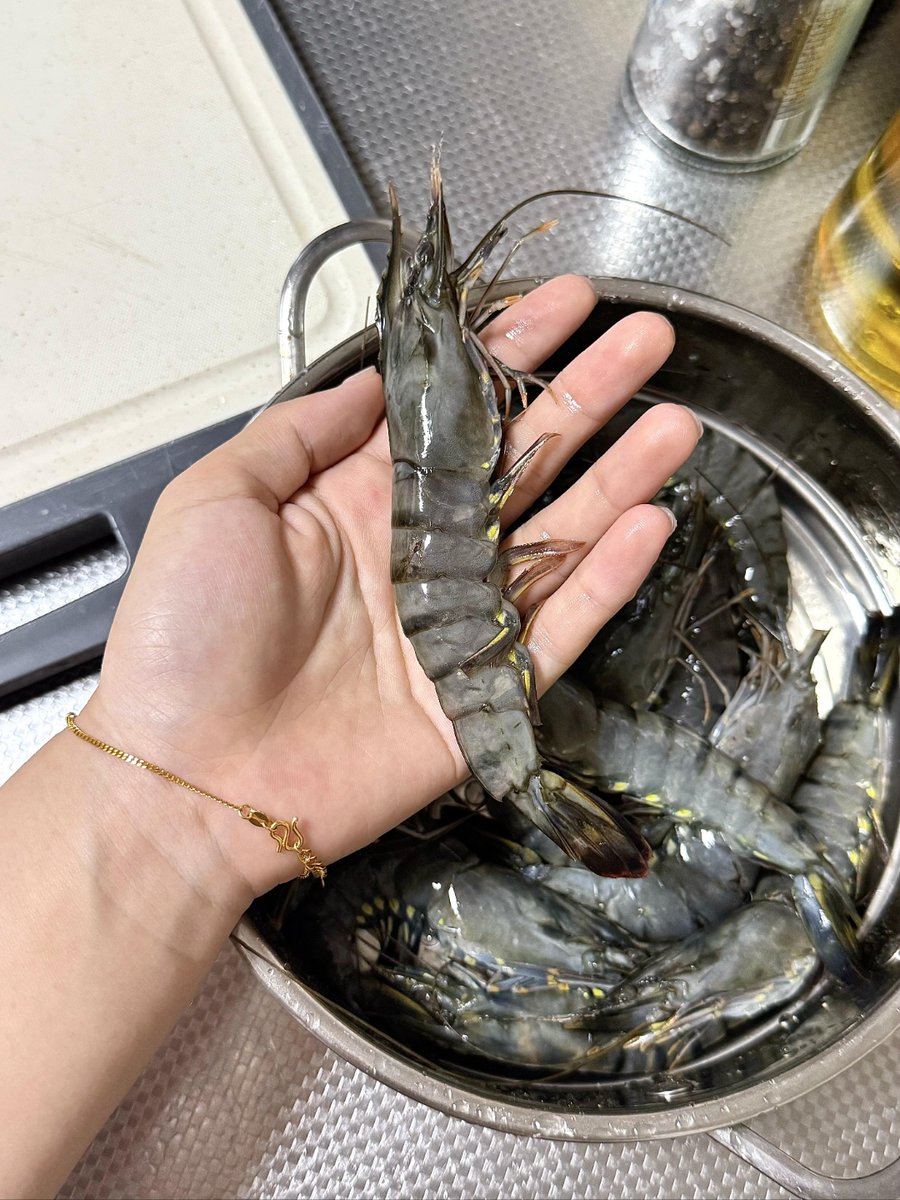 Damian Matyja tweet media