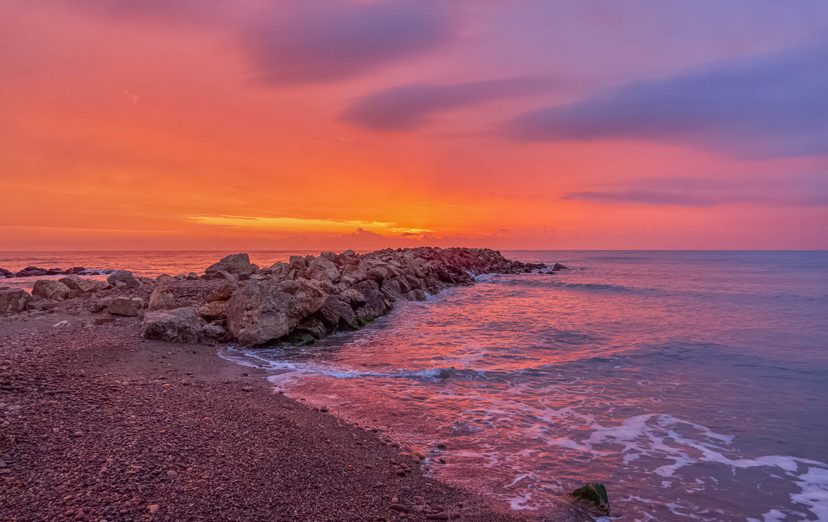 Álex Muñoz 💯 🧡 tweet media