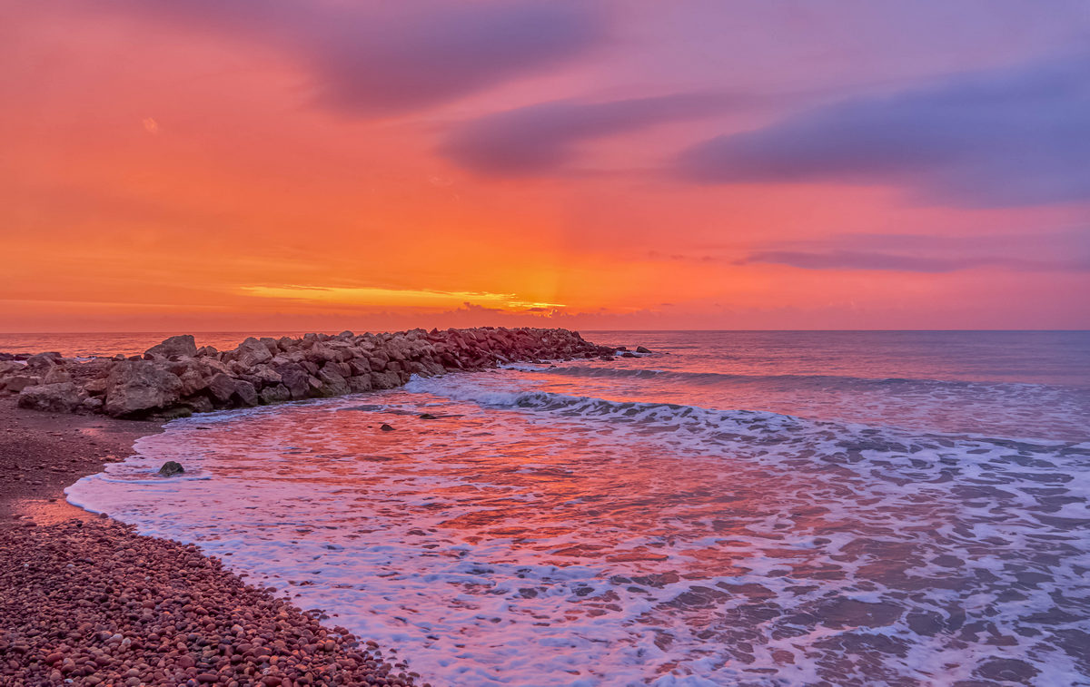 Álex Muñoz 💯 🧡 tweet media