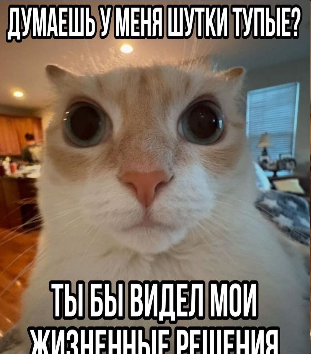 умник из этих ваших интернетов🇰🇿🇺🇦 tweet media