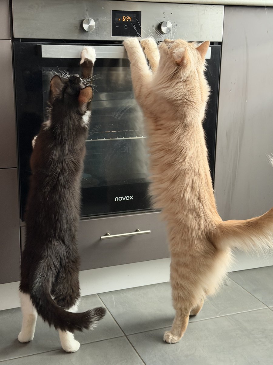 oh, it’s you tweet media