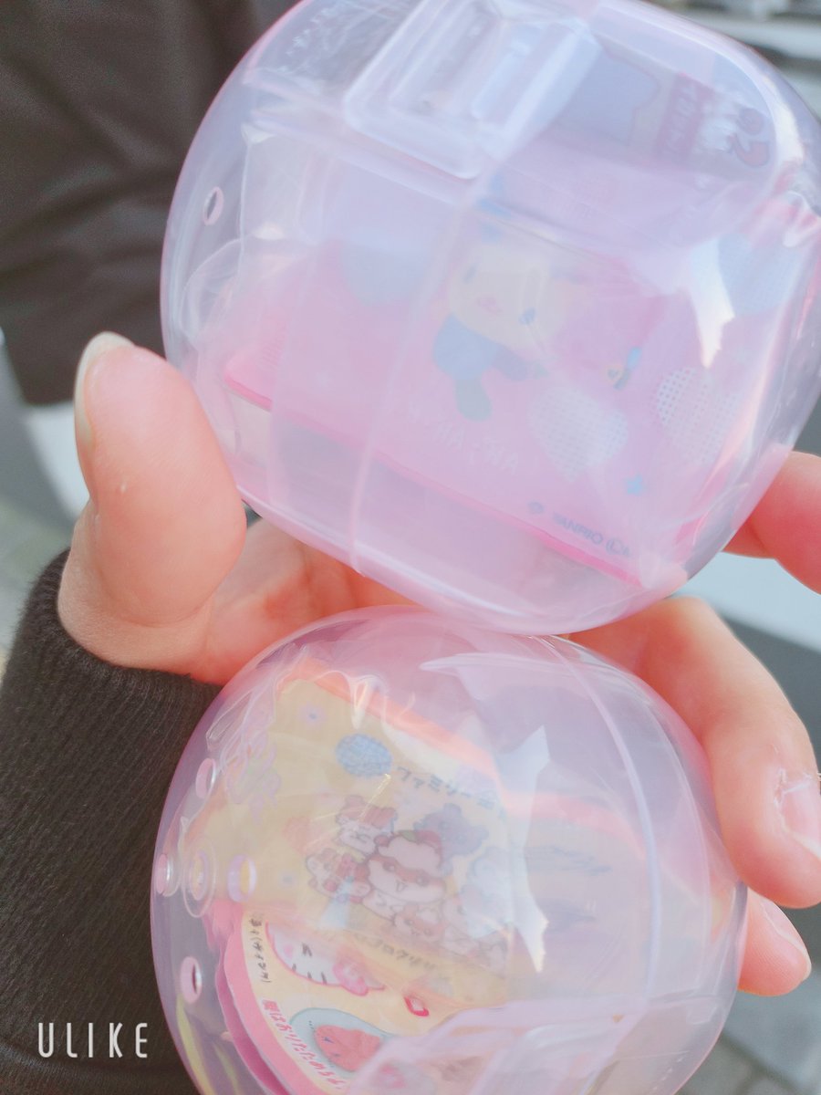 まむまむ tweet media