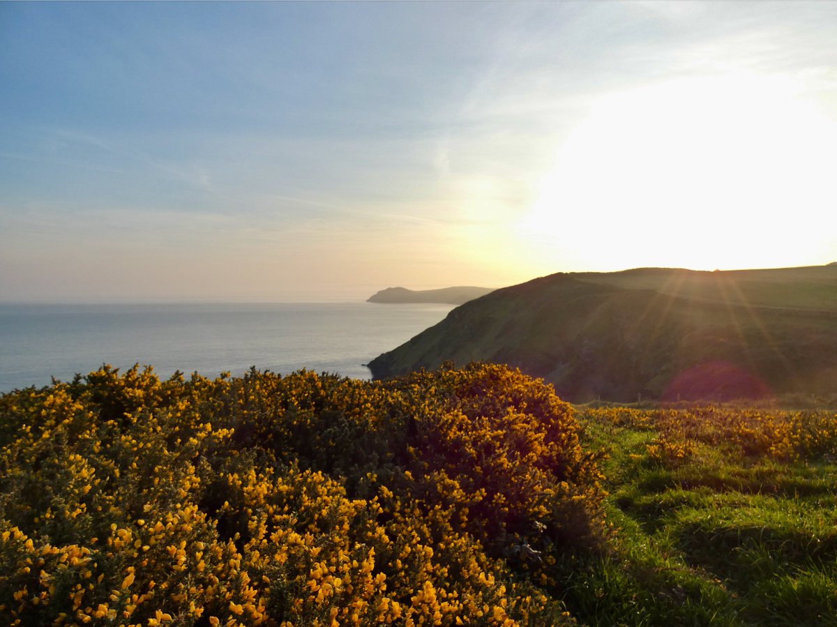 Katie Childs tweet media