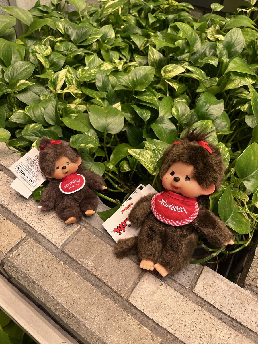 guide elephant (がいどぞう) tweet media