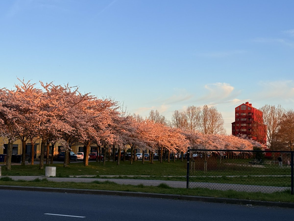 🌸Mireille 👩🏽🦱💙 tweet media