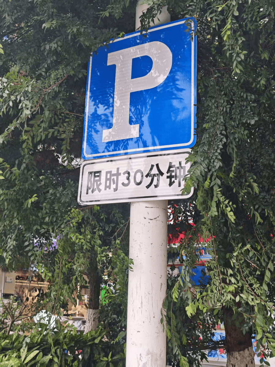 Jamieson Trayer tweet media