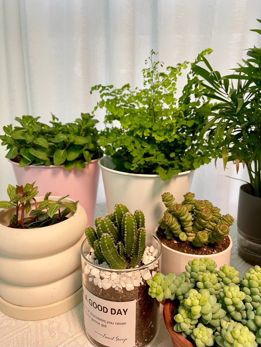 aleksandr antipov tweet media