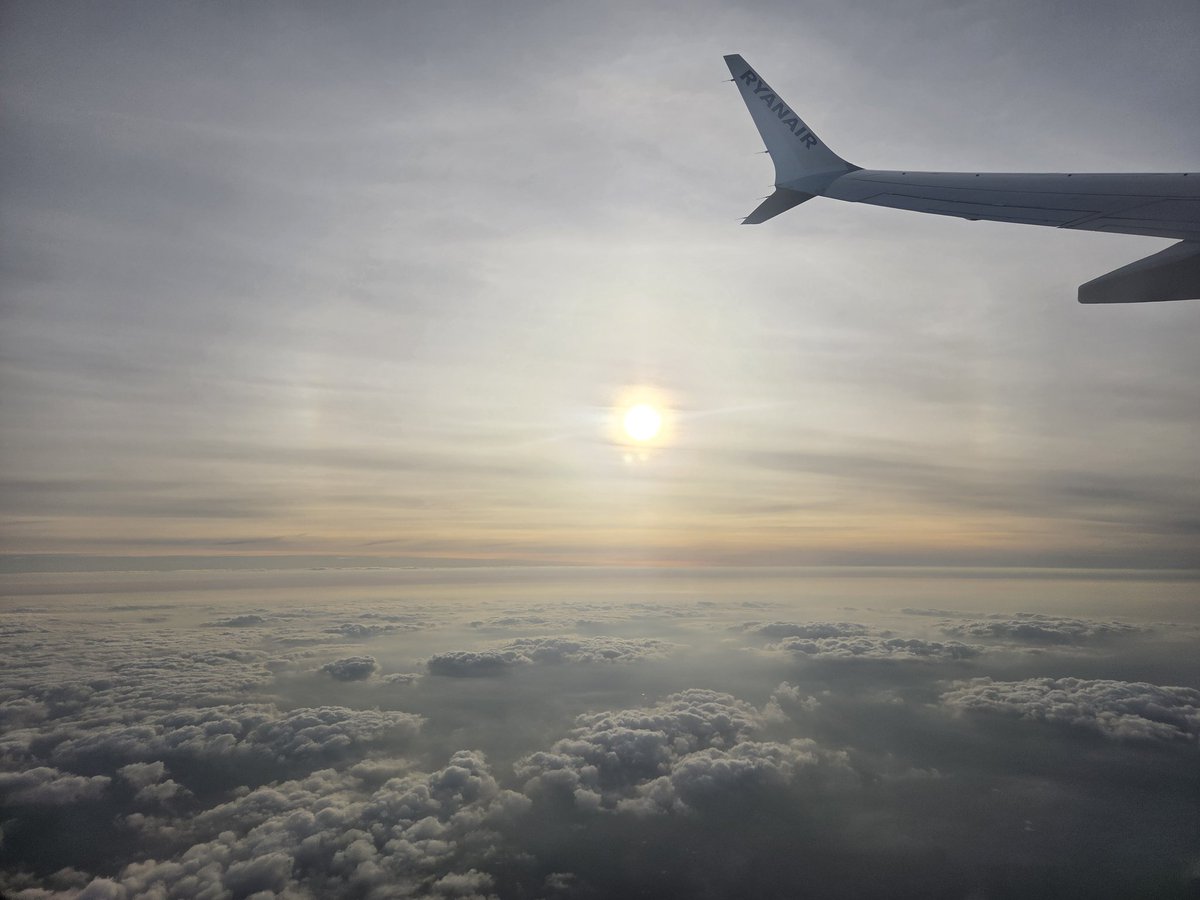 LevendiPro tweet media