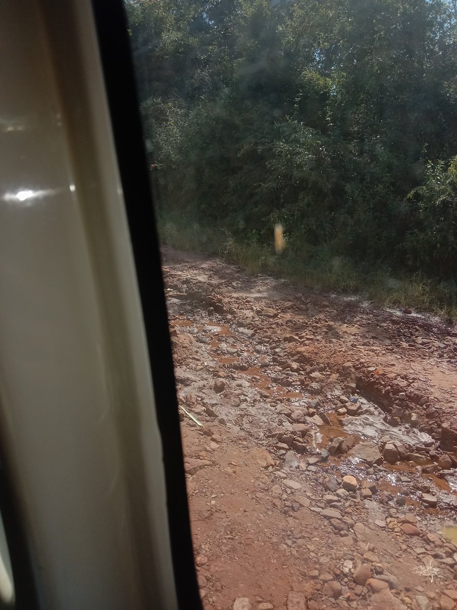 Artist TREVOR🇿🇦 tweet media