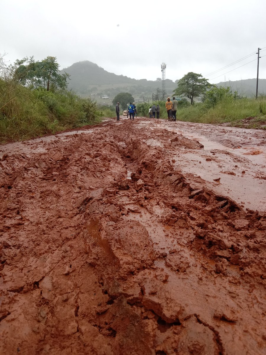 Artist TREVOR🇿🇦 tweet media