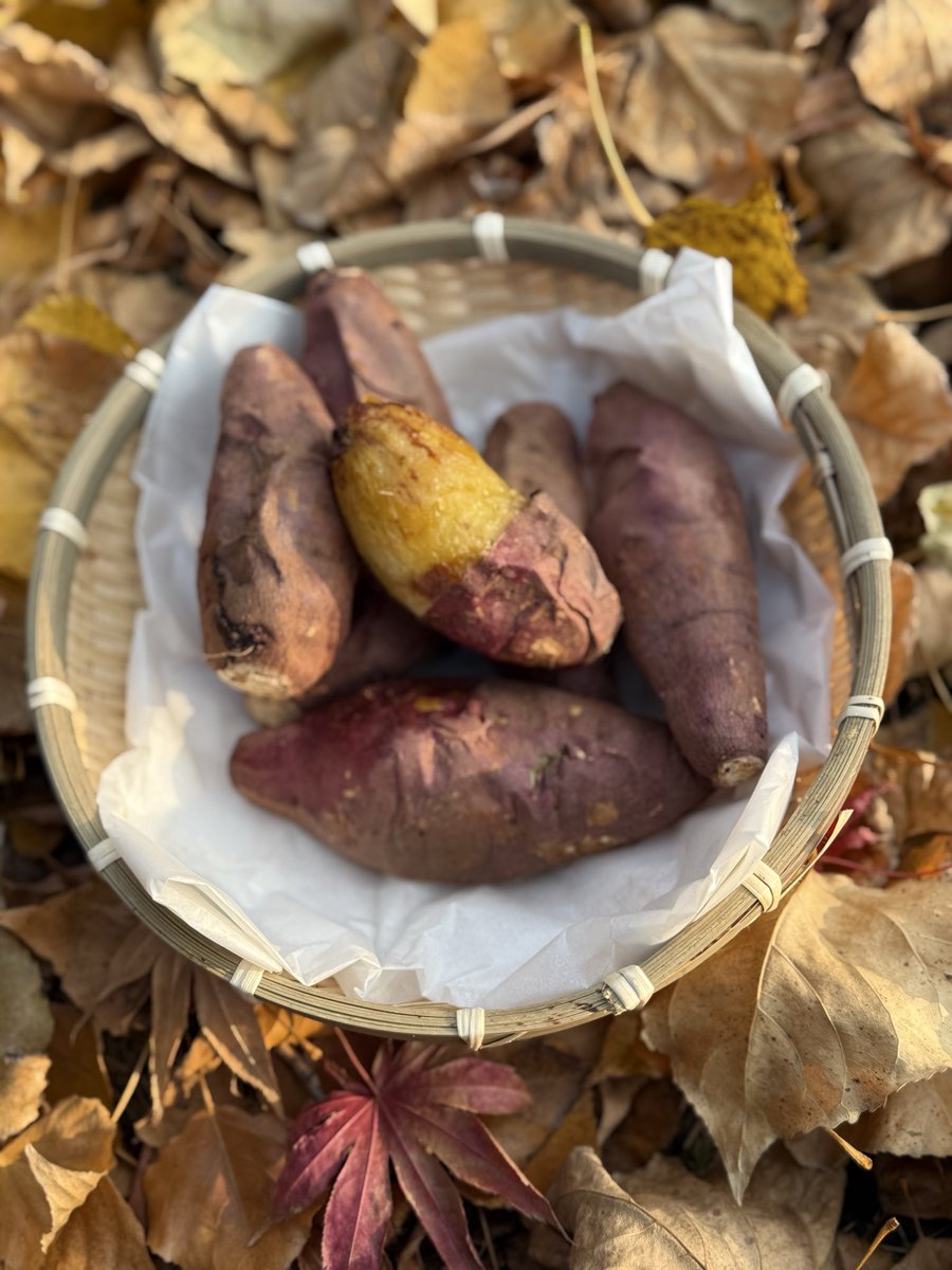 농부의아들 tweet media