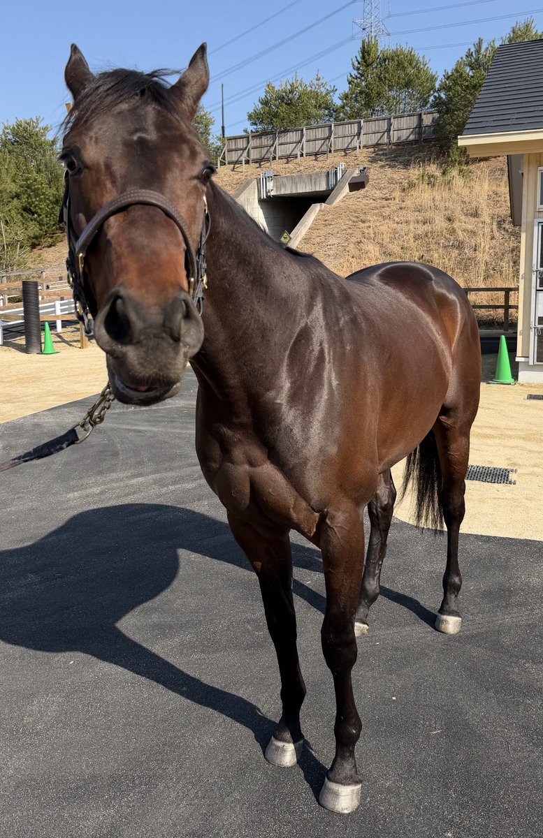 かずっち tweet media