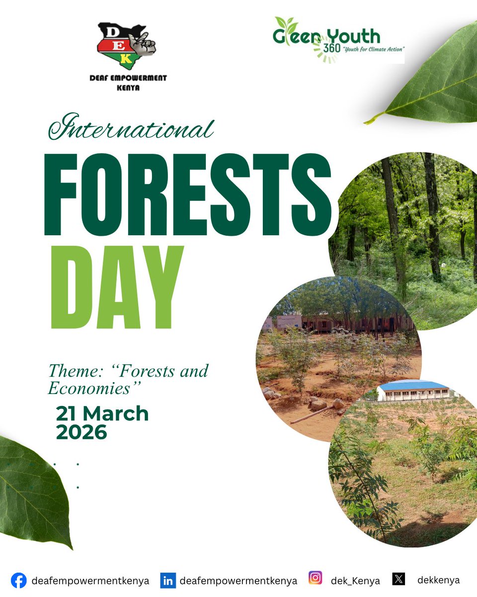 kenyaDek's tweet photo. Celebrating the International Day of Forests 2026: "FORESTS AND ECONOMIES".
Let us protect forests today for a greener tomorrow. Every tree matters, every forest counts.

Happy International Forest Day!

#InternationalDayofForests 
#EnvironmentalConservation 
#greenyouth360 🌳 https://t.co/fGDpDPAQvD