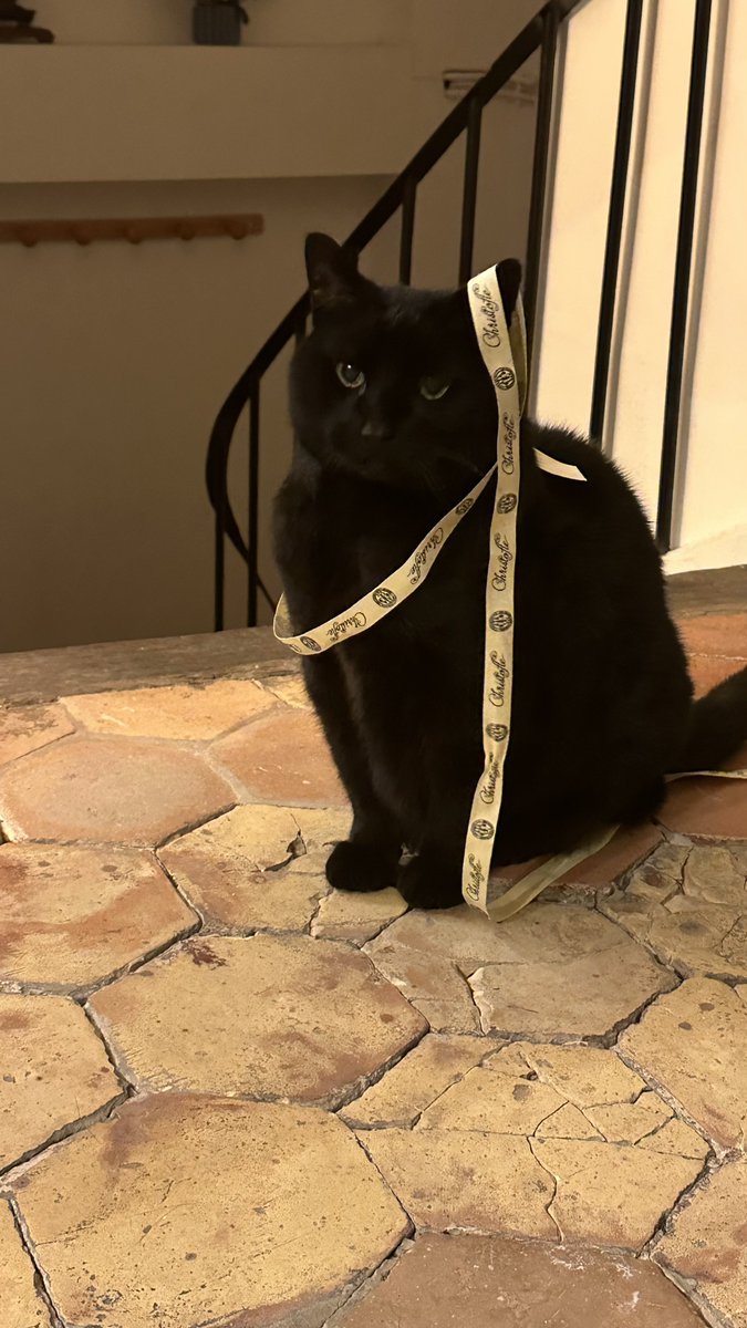 Kevin Boucher-Rappet tweet media