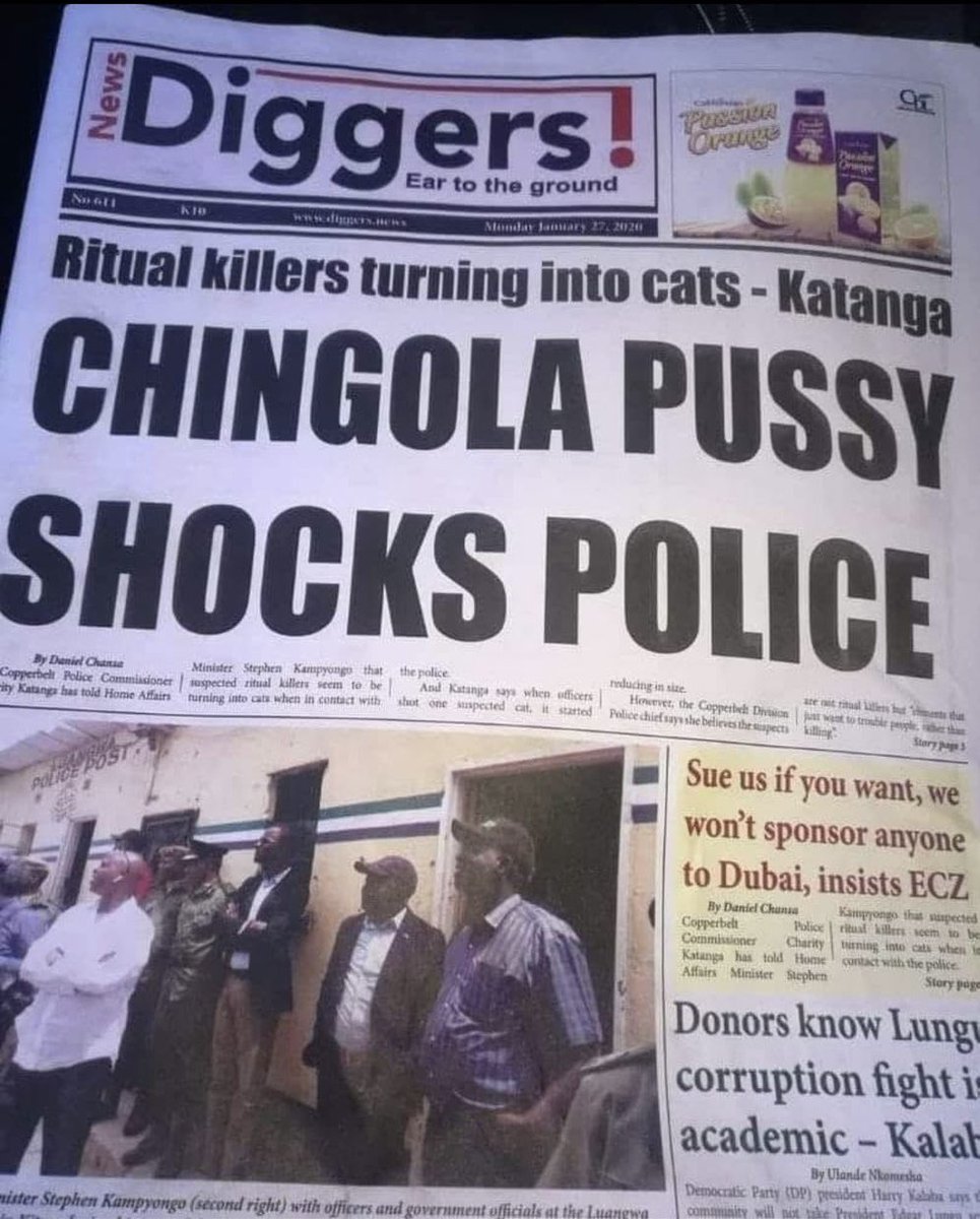 Mduduzi Mathuthu tweet media