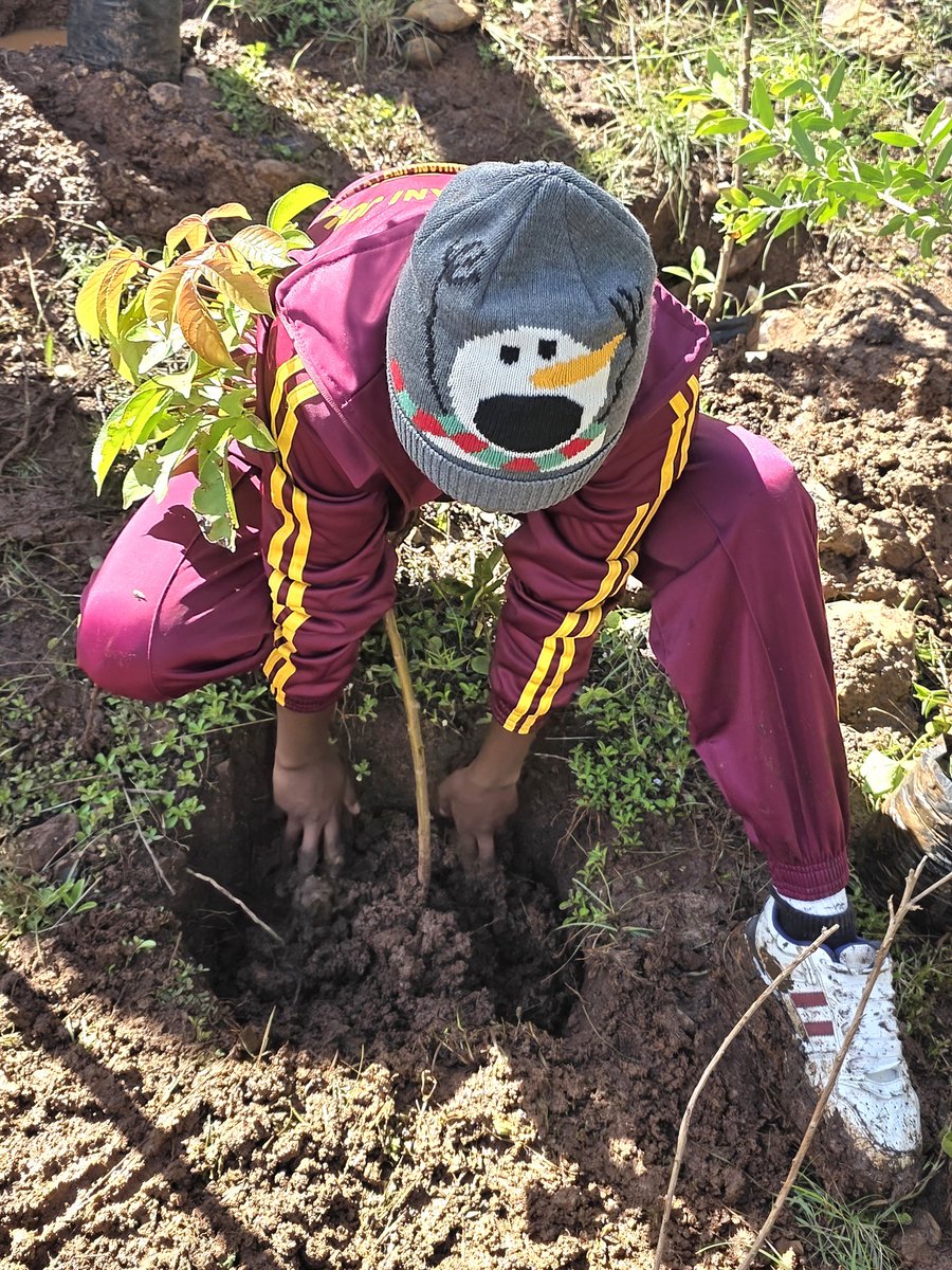 State Dept For Environment & Climate Change tweet media