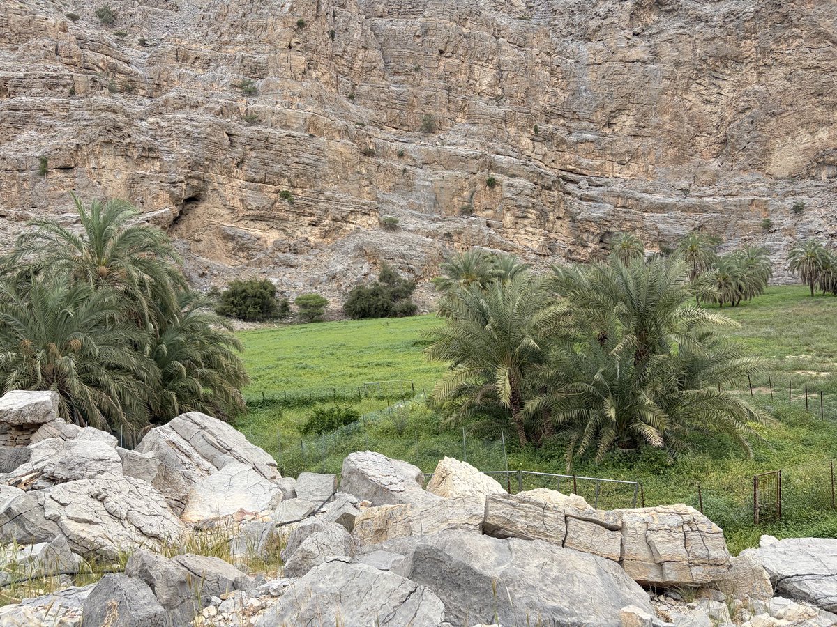 Abdulkhaleq Abdulla tweet media