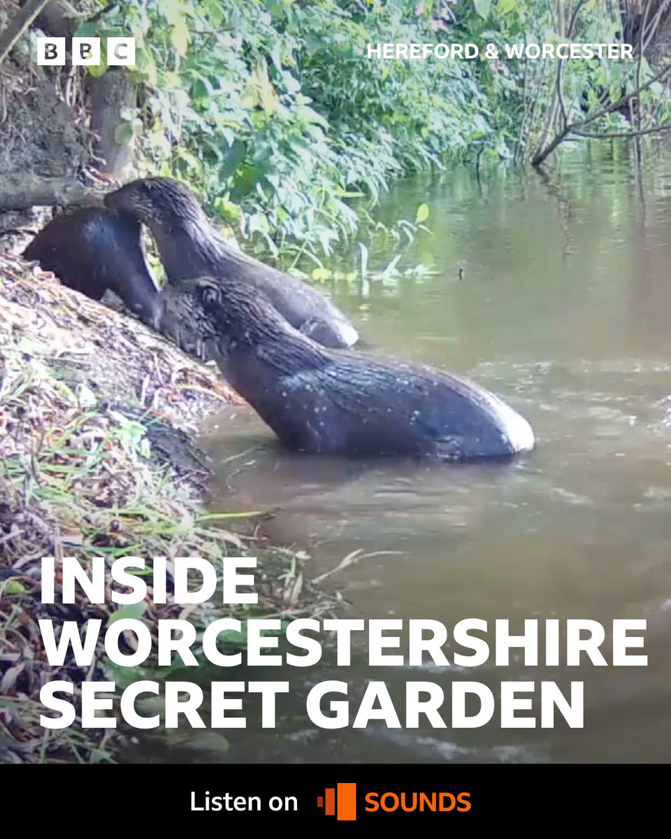 BBC Hereford & Worcester tweet media