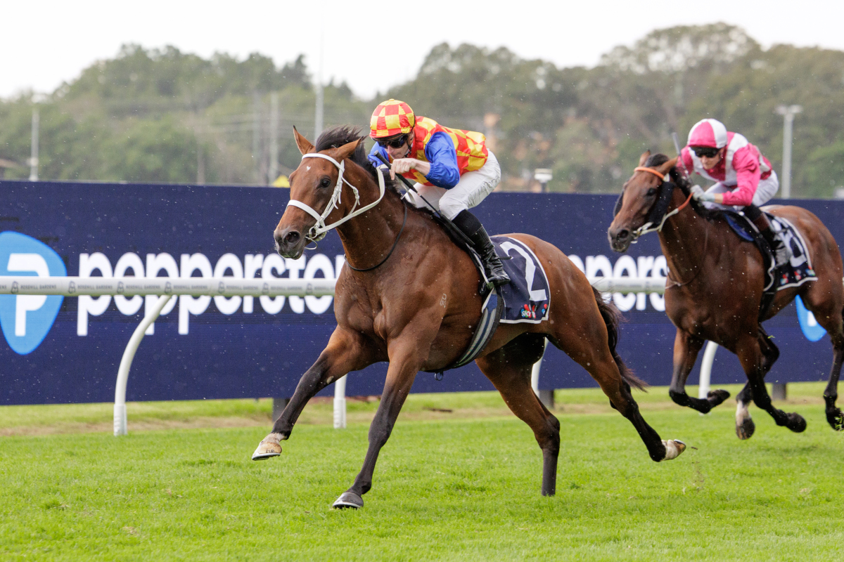 Arrowfield Stud tweet media