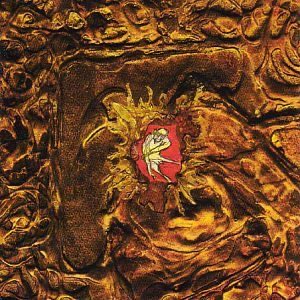 Mike Doherty tweet media