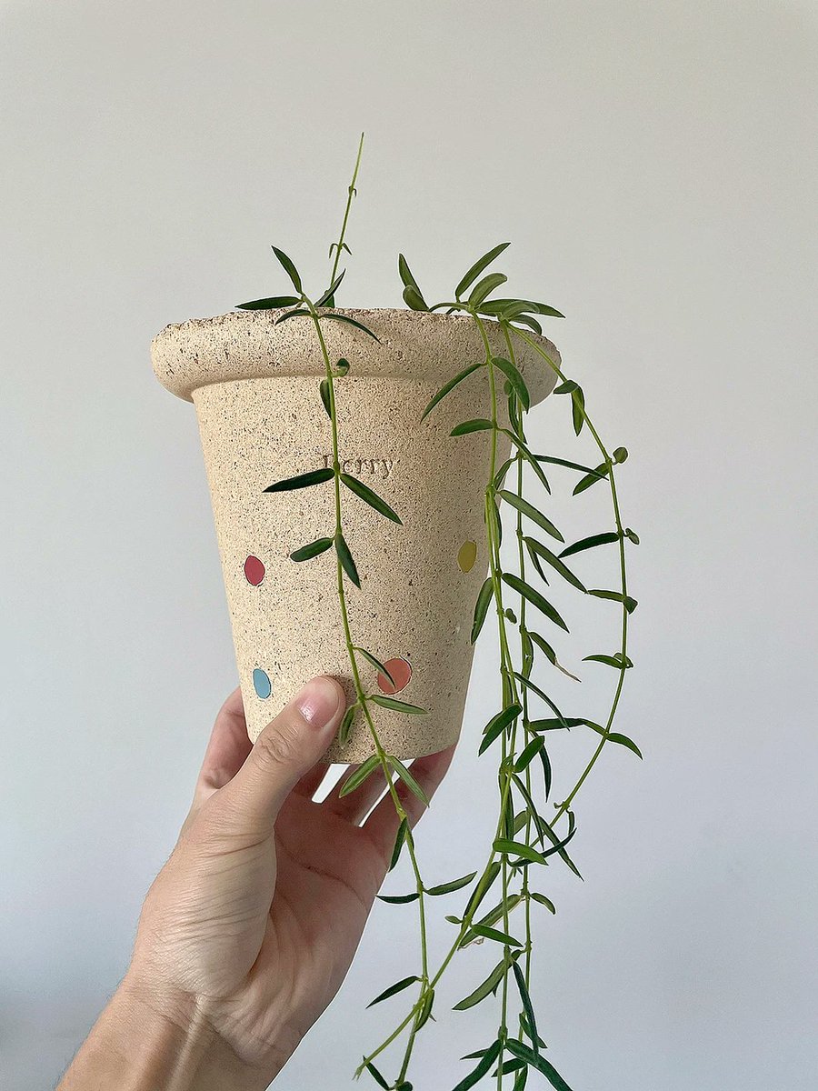 Tracy Mohr tweet media