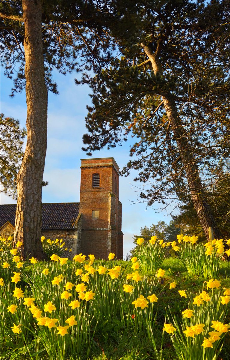 Alison Cavanagh tweet media