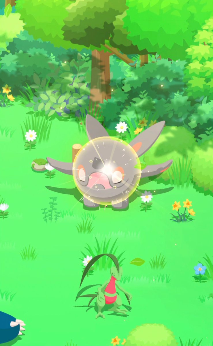 犬魔王🐾ポケスリ tweet media