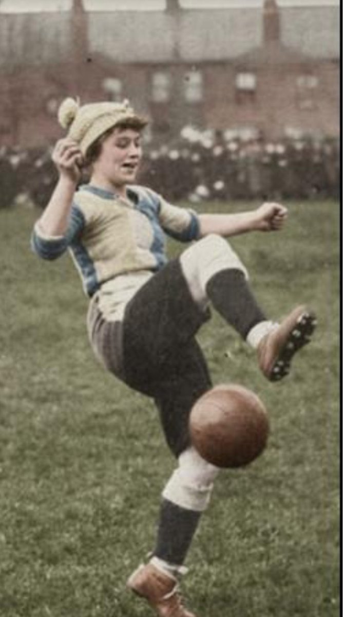 Steve Bolton tweet media