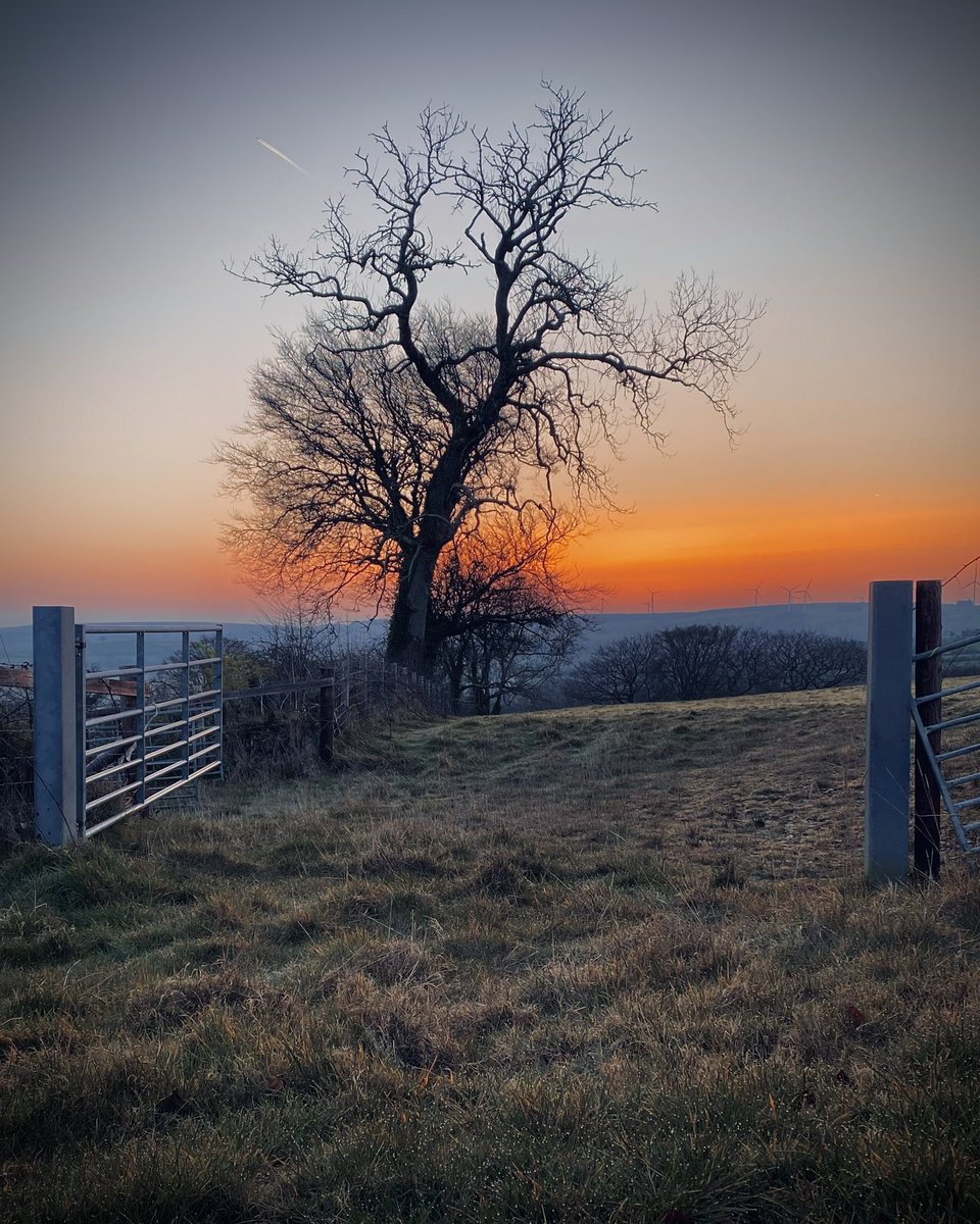 Aled Hall 🏴󠁧󠁢󠁷󠁬󠁳󠁿 tweet media