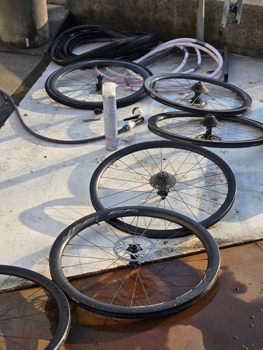 すくみずさん tweet media