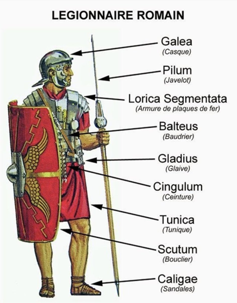 ageofroman's tweet image. Roman military personal equipment
#history #rome #empire #kingdom #italy #legion