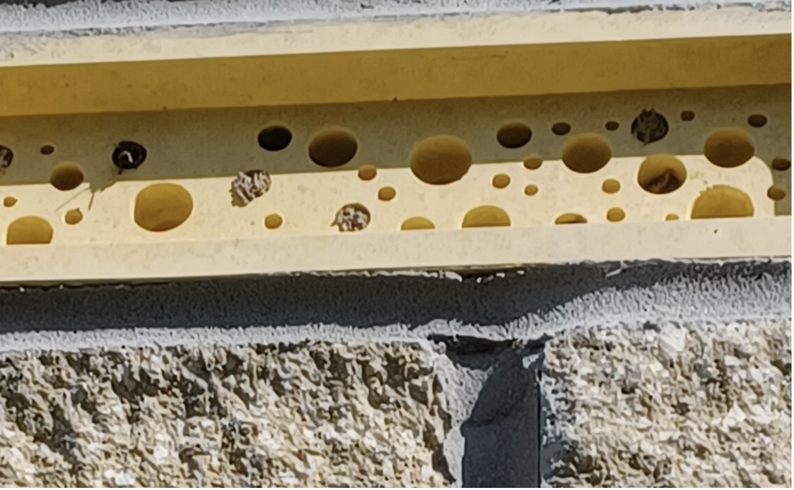 Pollinators tweet media