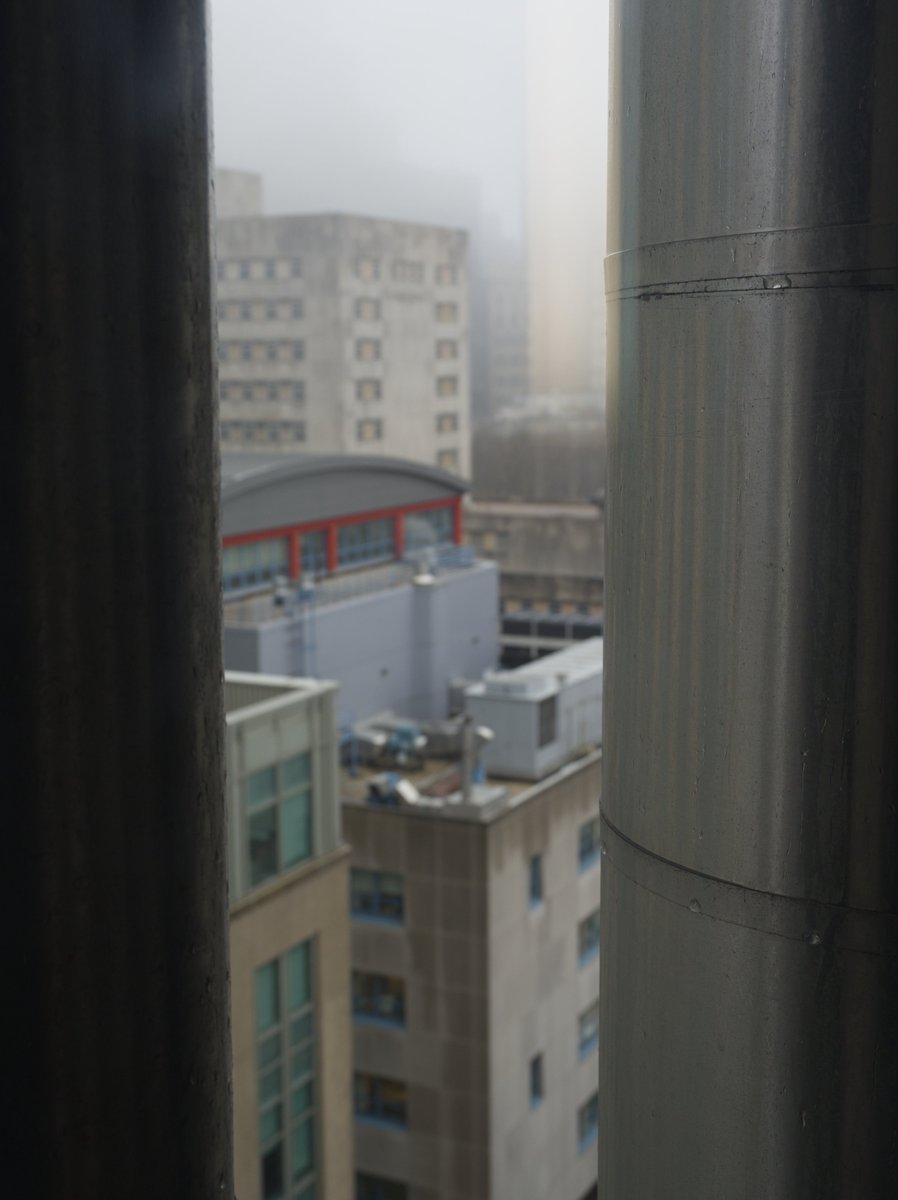 electimon tweet media