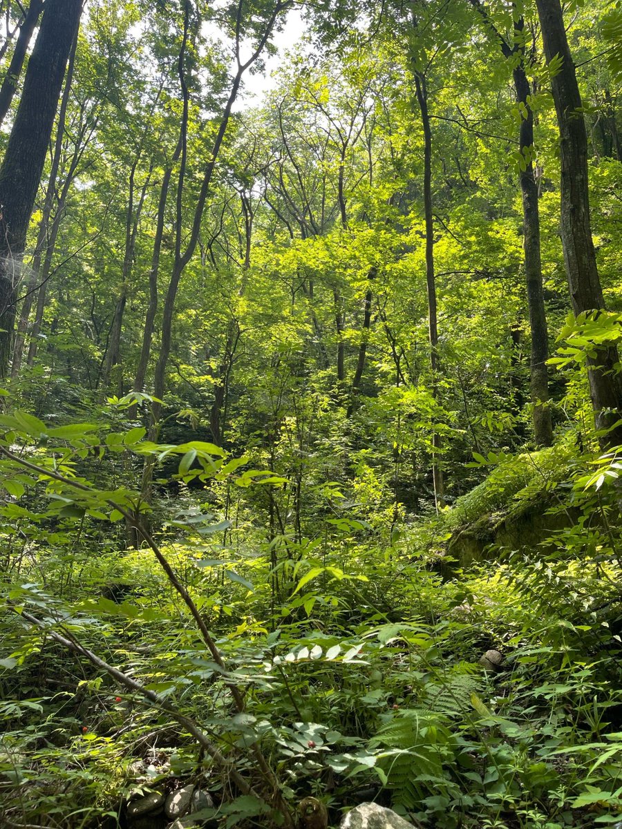 Heather Baggett tweet media