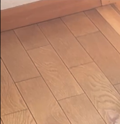 はれやまはれぞう🐘単行本2巻4月9日発売🐘 tweet media