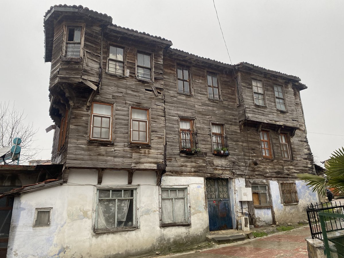 bedothings tweet media