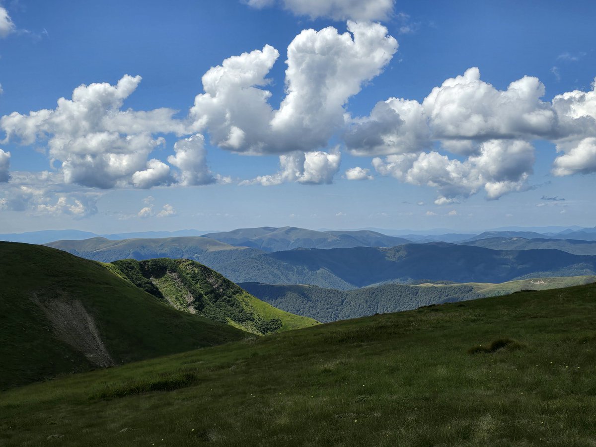 Ivanna Klympush tweet media