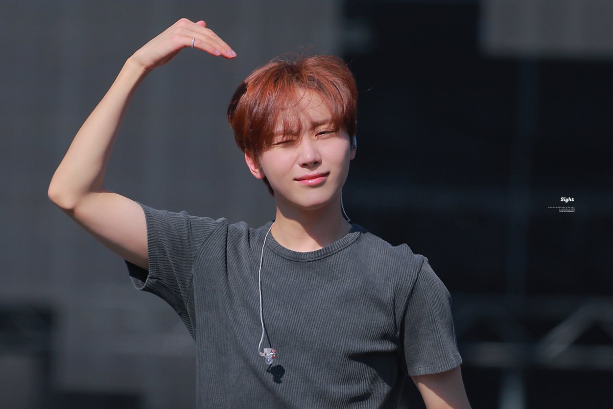 𝑠𝑖𝑔ℎ𝑡 tweet media