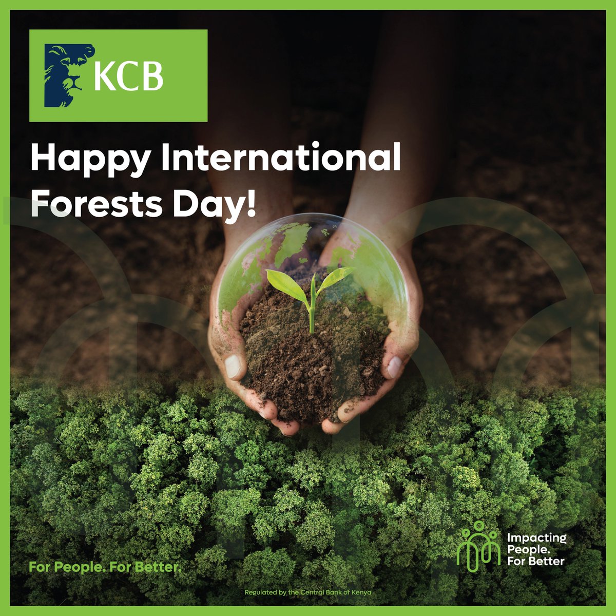 KCB Group Plc tweet media