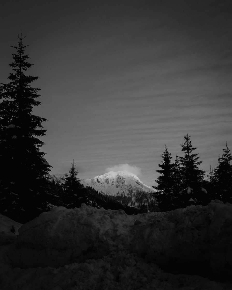 G Rainer tweet media