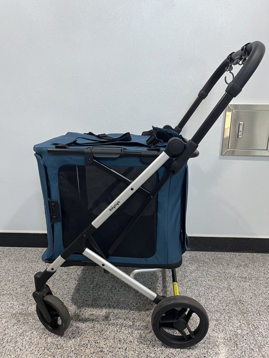 과망구 왕쥬🖤 🙏고정타래 야니 가족찾아요 tweet media