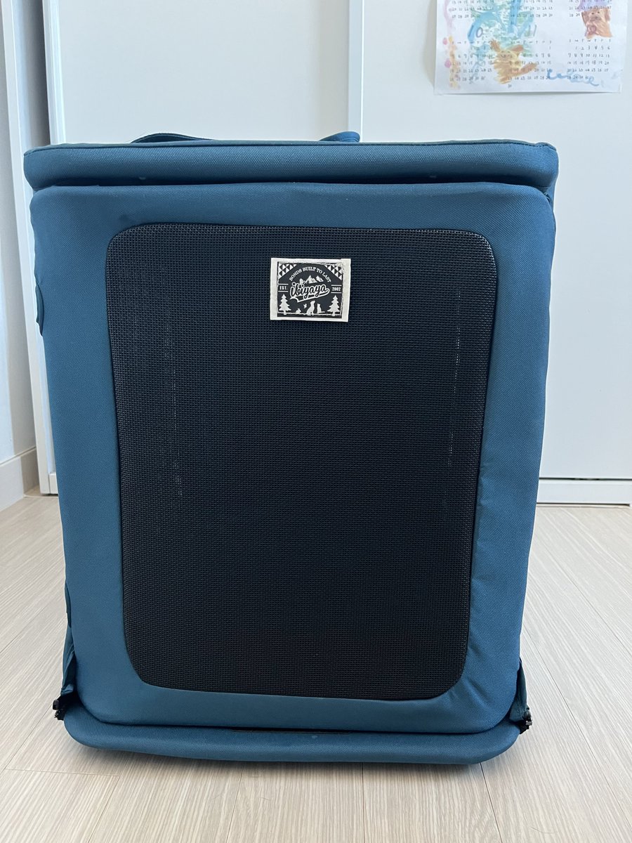 과망구 왕쥬🖤 🙏고정타래 야니 가족찾아요 tweet media