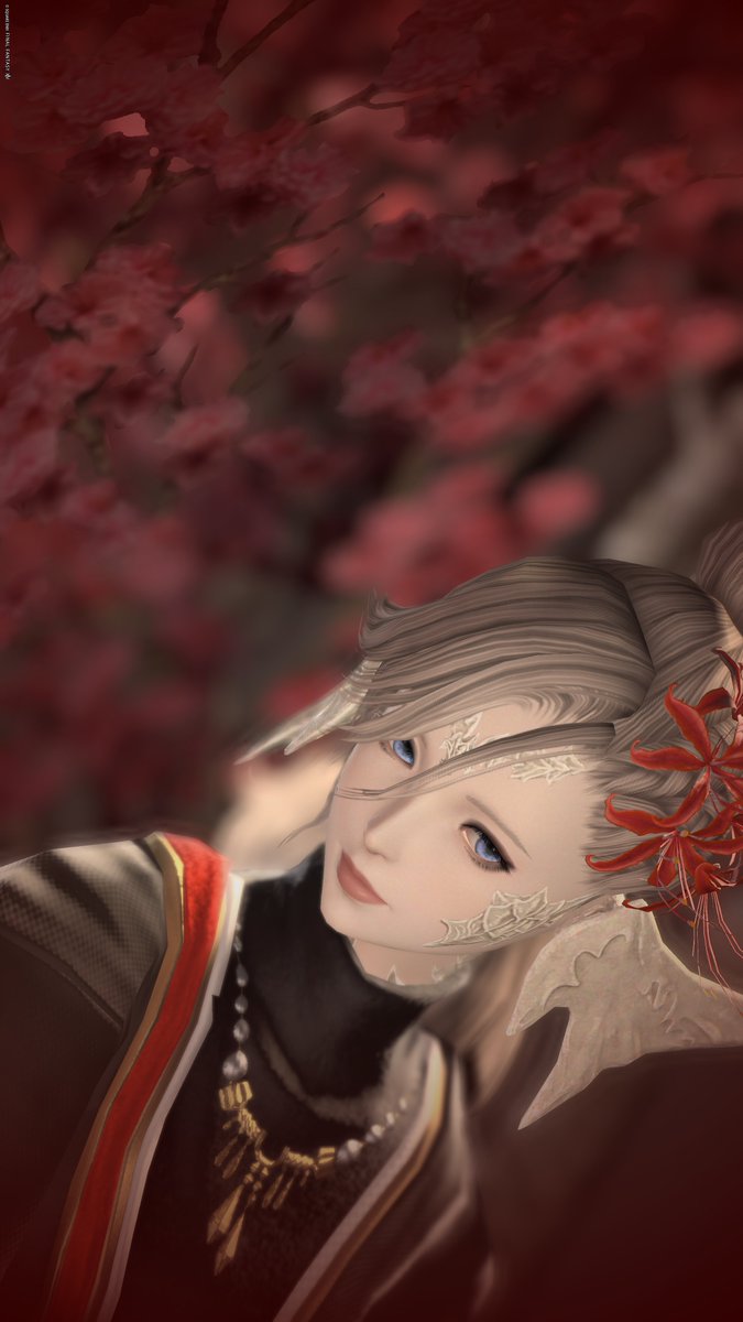 あしゃき✪Bahamut tweet media