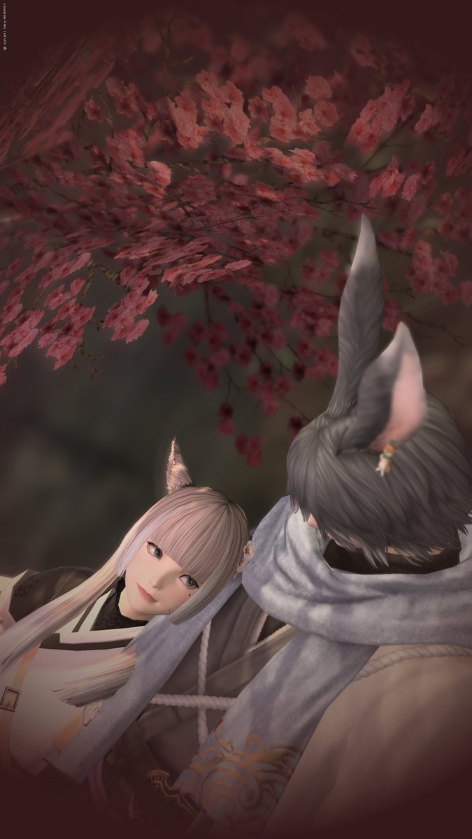 あしゃき✪Bahamut tweet media