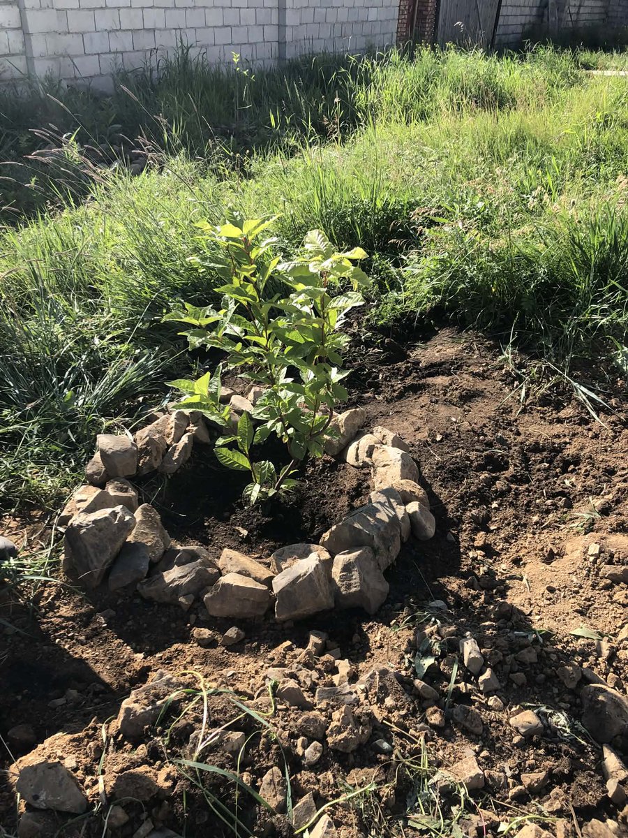 Mrs. Shuulen tweet media