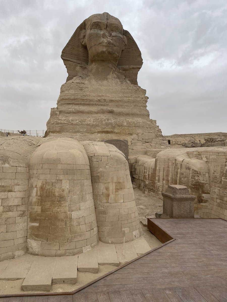 しごてん(閾業天)🚑 💥❤️‍🩹 tweet media