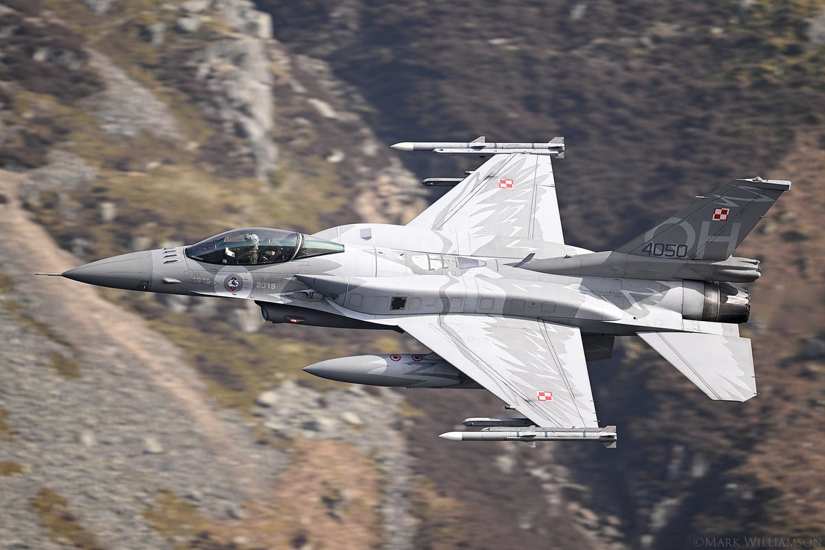 Mark Williamson tweet media