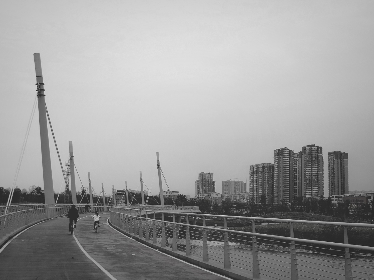 annelies tweet media