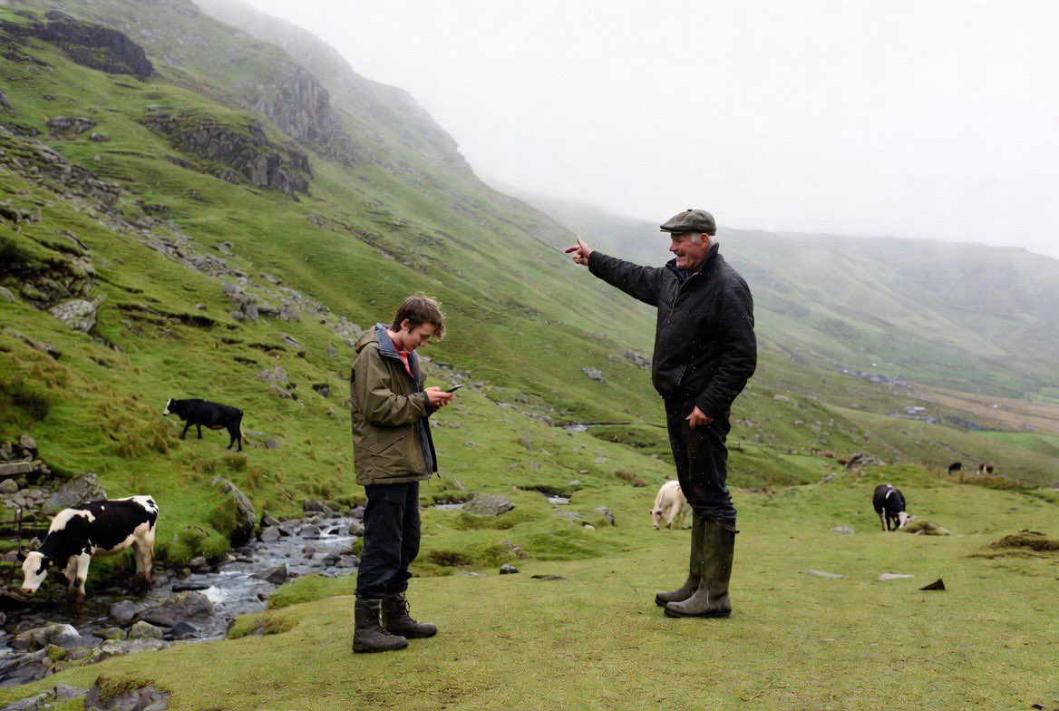 Mannen i Bromma tweet media