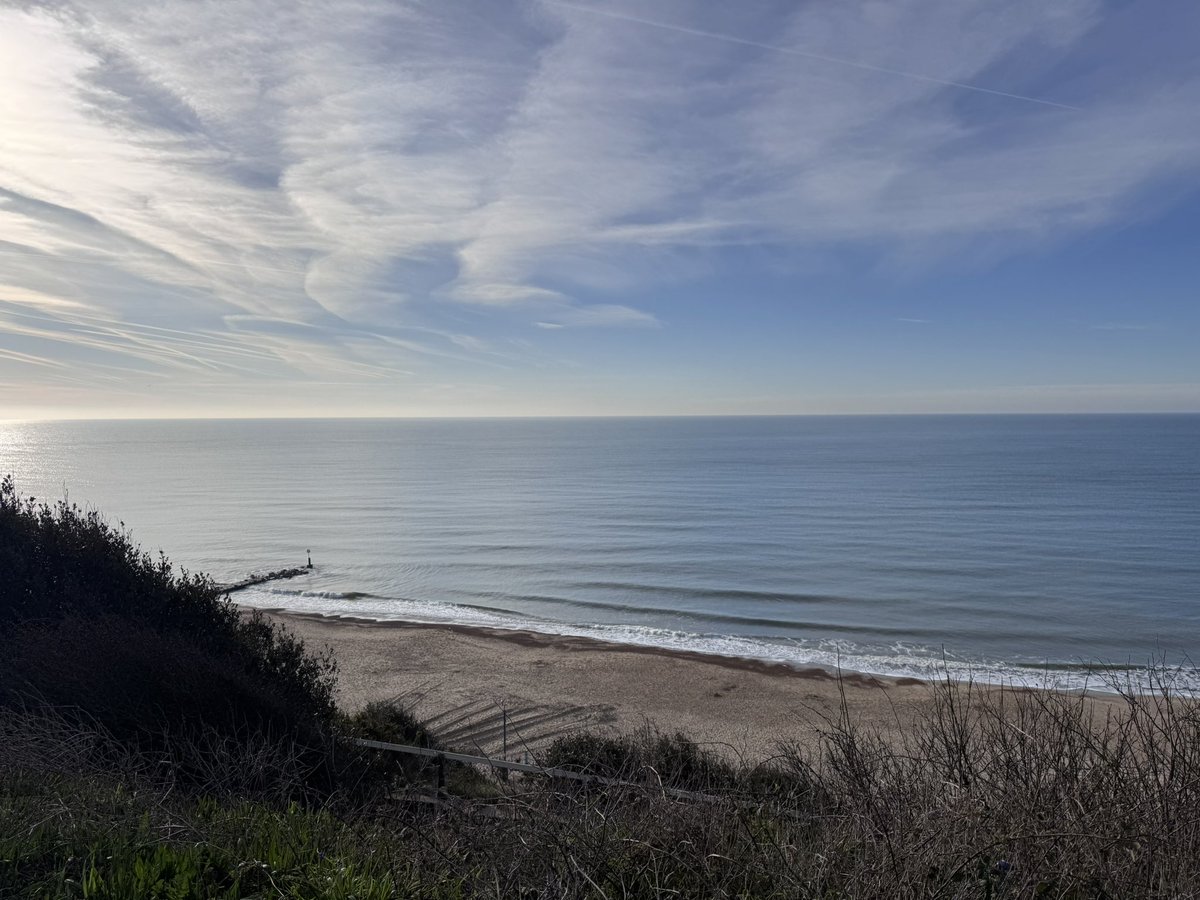 Andy Mitten tweet media